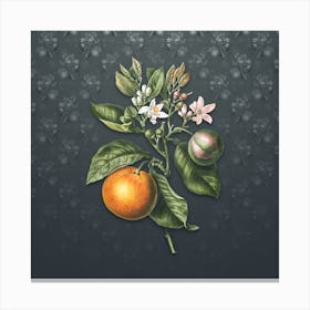 Vintage Bitter Orange Botanical on Slate Gray Pattern n.2005 Canvas Print
