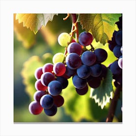 Grapes On The Vine 36 Canvas Print