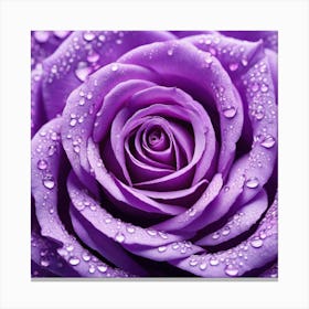 Purple Rose With Water Droplets 3 Canvas Print