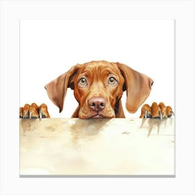 Vizsla Dog 2 Canvas Print