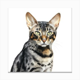 Black Bengal Cat Portrait 3 Canvas Print