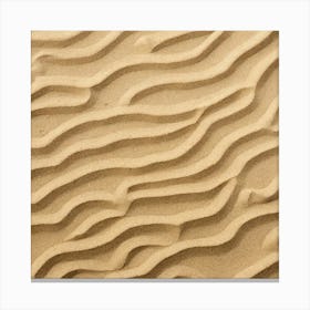 Sand Texture 17 Canvas Print