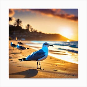 Seagulls On The Beach 1 Canvas Print