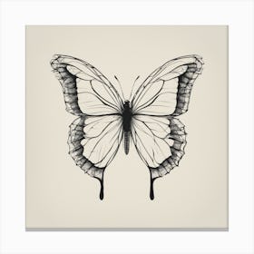 Butterfly 3 Canvas Print