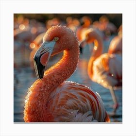 Flamingos 13 Canvas Print