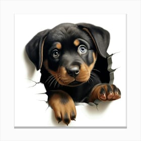 Rottweiler Puppy 1 Canvas Print