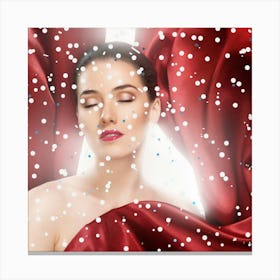 Christmas Beauty 1 Canvas Print