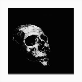 Skull In Black And White Canvas Print