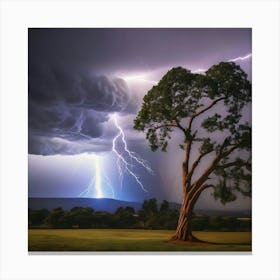 Lightning Over A Tree 1 Canvas Print