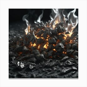 Coal Burning On Black Background Canvas Print