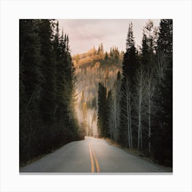 Moody Forest Highway Canvas Print