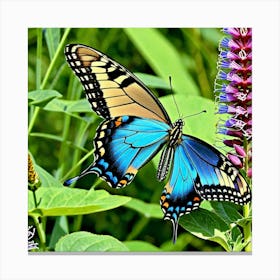 Blue Swallowtail Butterfly 4 Canvas Print