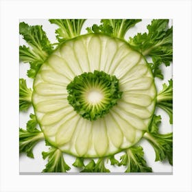 Frame Created From Endive On Edges And Nothing In Middle (5) Canvas Print