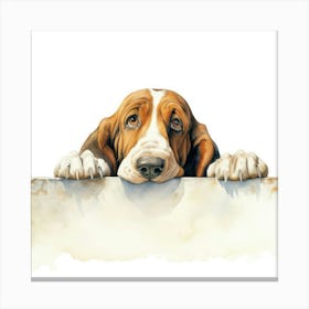 Basset Hound 5 Canvas Print