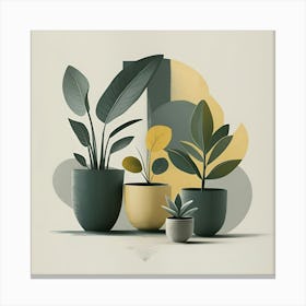 Three Potted Plants 1 Canvas Print