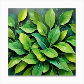 Green Leaves 3 Canvas Print