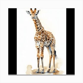 Giraffe Canvas Print