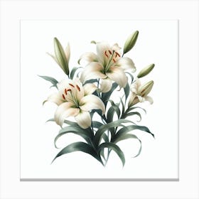 Lilies 2 Canvas Print