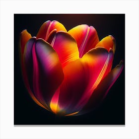 Tulip 2 Canvas Print