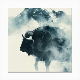 Bison 1 Canvas Print