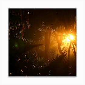 Sunrise In The Jungle Canvas Print