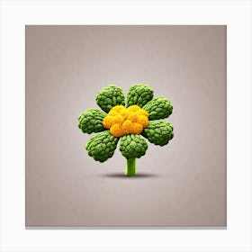 Cauliflower Flower 5 Canvas Print