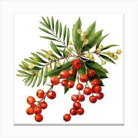 Red Berries Canvas Print