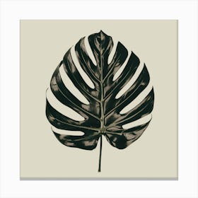 Monstera Leaf 2 Canvas Print