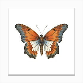 Butterfly 3 Canvas Print