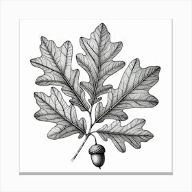 Line Art oak leaves Canvas Print