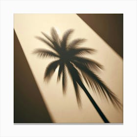 Shadow Of Palm Tree Canvas Print