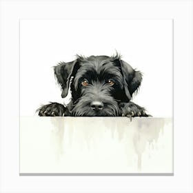 Schnauzer 9 Canvas Print