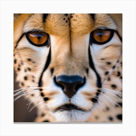 Cheetah Face Canvas Print