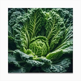 Close Up Of A Green Cabbage 1 Canvas Print