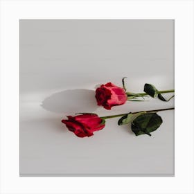 Roses Canvas Print