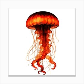 Jellyfish 2 Canvas Print