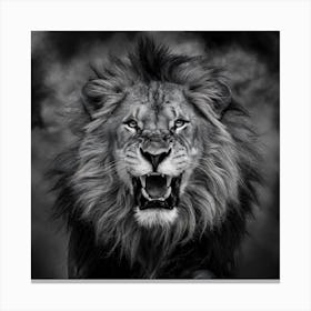 Lion Roaring Canvas Print