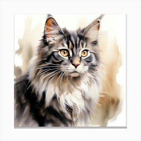 Coon Cat 2 Canvas Print