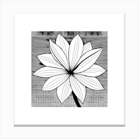 Lotus Flower 4 Canvas Print