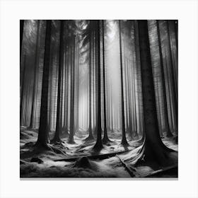 Dark Forest 116 Canvas Print