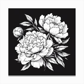 Peonies On Black Background Canvas Print