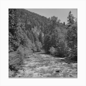 Willamette National Forest, Lane County, Oregon, Salt Creek By Russell Lee Canvas Print