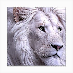 White Lion Canvas Print