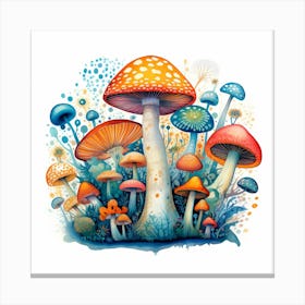 Mushrooms And Fungi Canvas Print