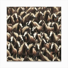 Herd Of Horses Canvas Print