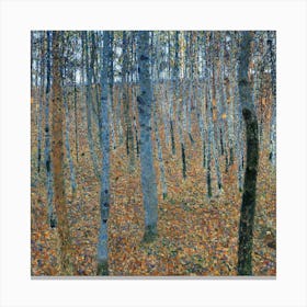 Birch Forest 1 Canvas Print