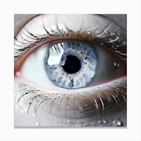 Blue Eye 14 Canvas Print