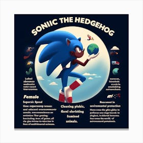 Sonic The Hedgehog 5 Canvas Print
