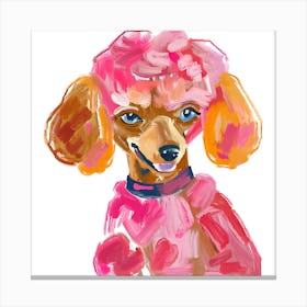 Poodle 03 Canvas Print