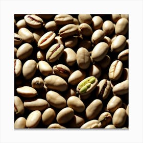 Coffee Beans 253 Canvas Print